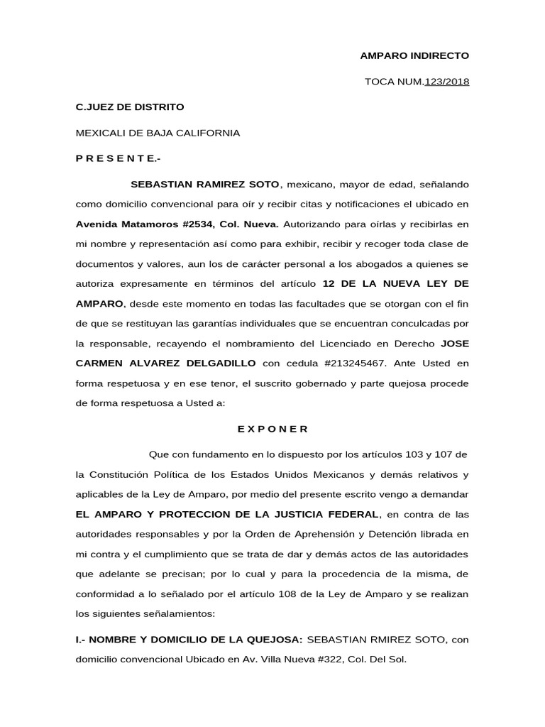 Amparo Indirecto por Orden de Aprehensión | PDF | Derecho ...