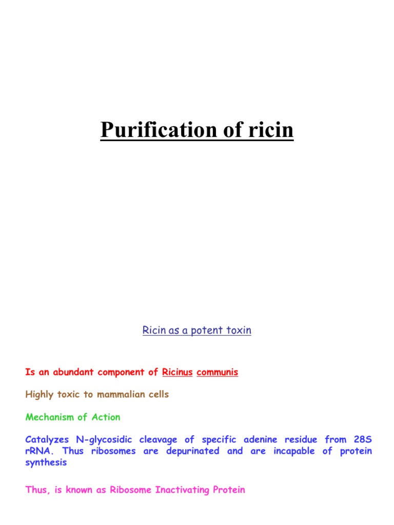 Ricin: Structure and Extraction Methods | PDF | Nutrients | Structural ...