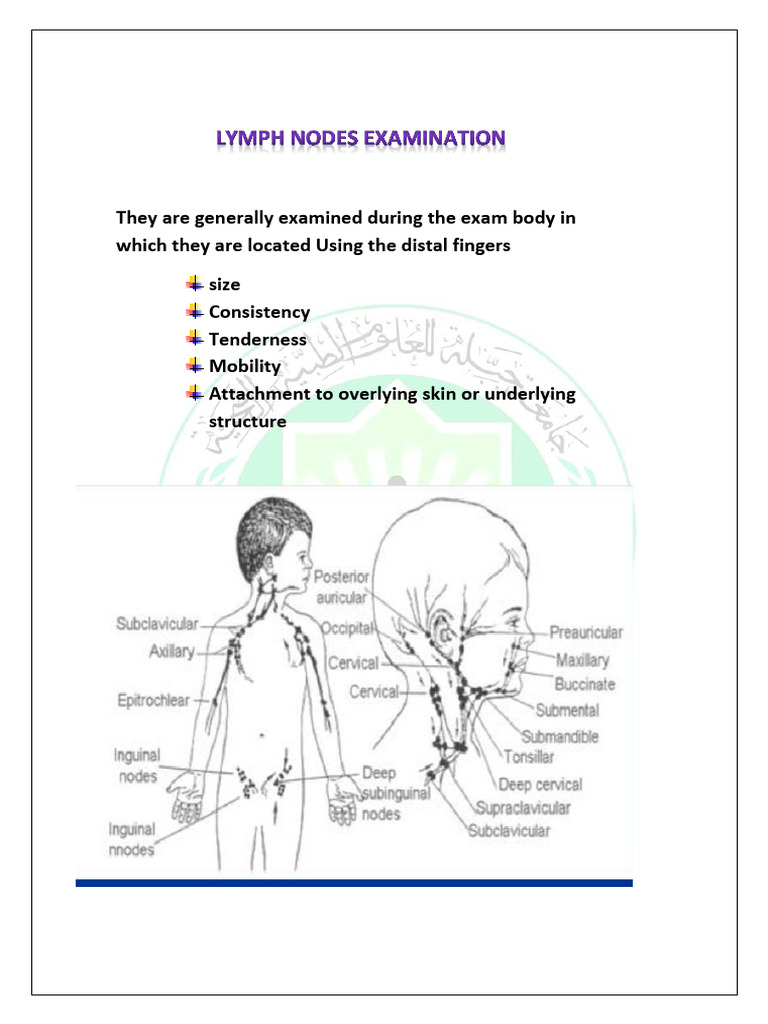 SHOULD BE ABLE TO FEEL LYMPH NODES intelligence overview