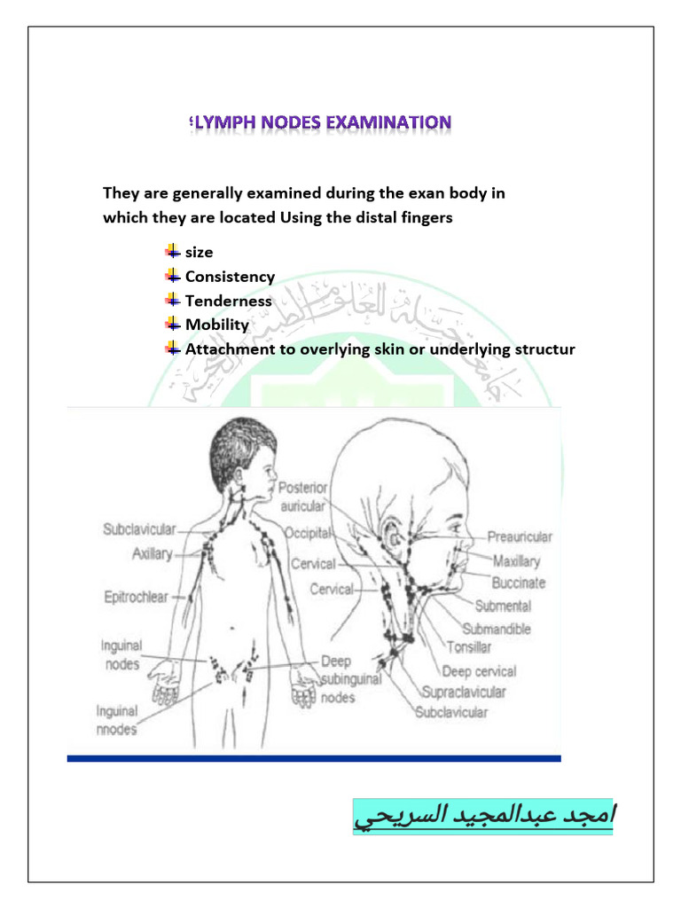Lymph Nodes Examination Pdf Anatomical Terms Of Location