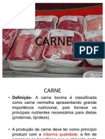 Slides de Carne-2003