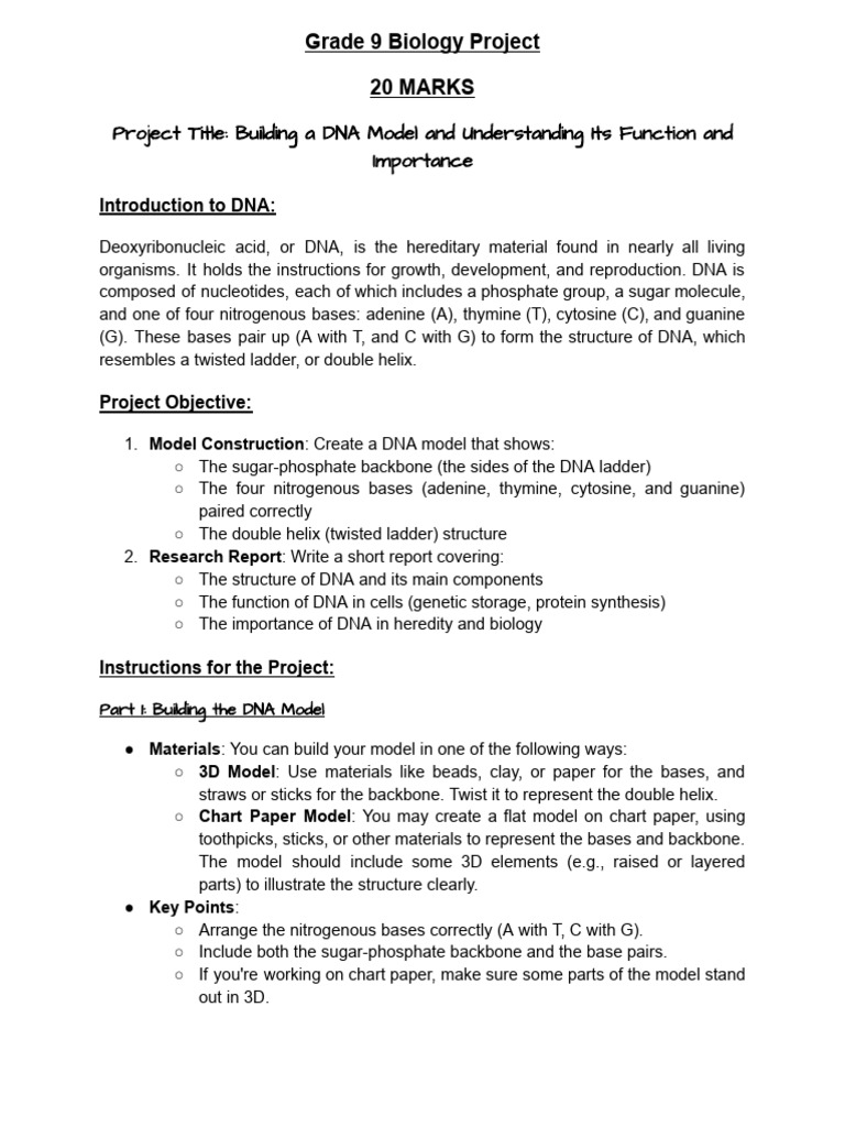 Grade 9 DNA Model Project Guide | PDF | Dna | Health Sciences