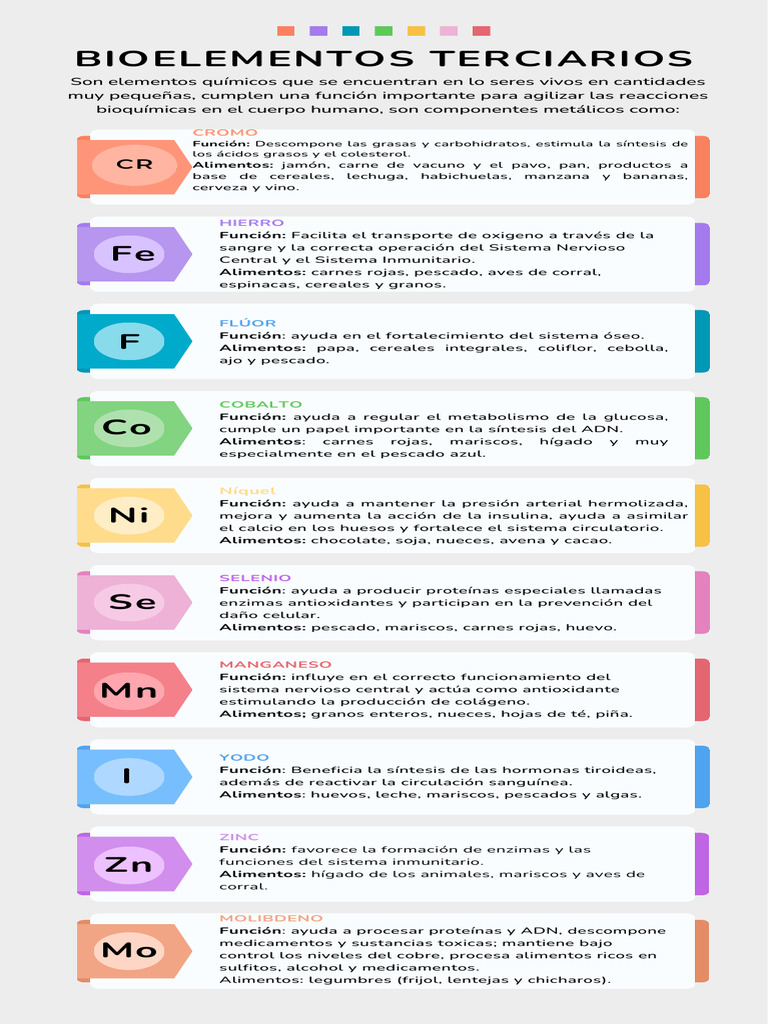 Funciones y Alimentos de Bioelementos Terciarios | PDF | Alimentos ...