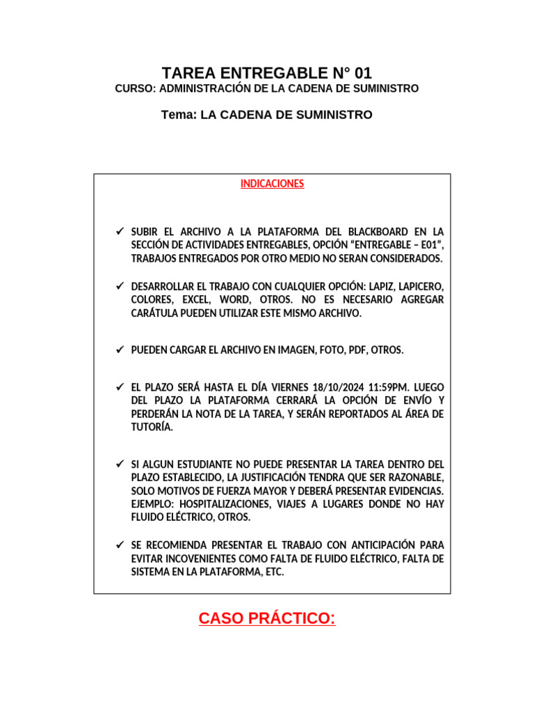 Tarea Entregable Nro 01 - Cadena de Suministro | PDF