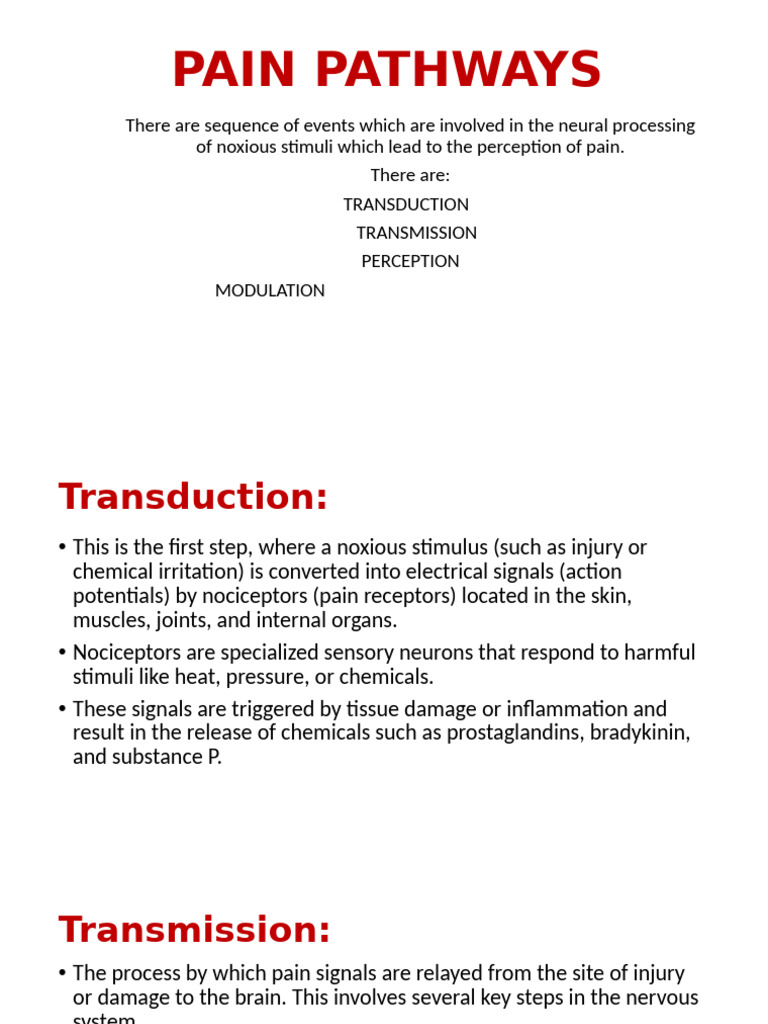 Pain Pathway-1 | PDF | Pain | Nervous System