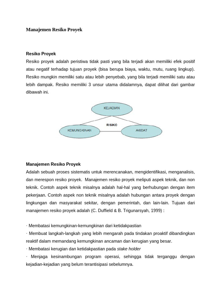 Manajemen Risiko Proyek Efektif | PDF | Bisnis