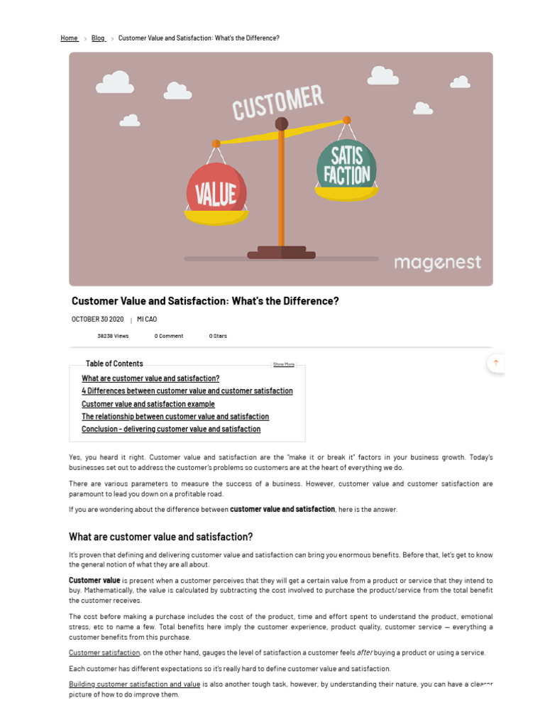 Customer Value vs. Satisfaction Explained | PDF | Customer | Customer ...