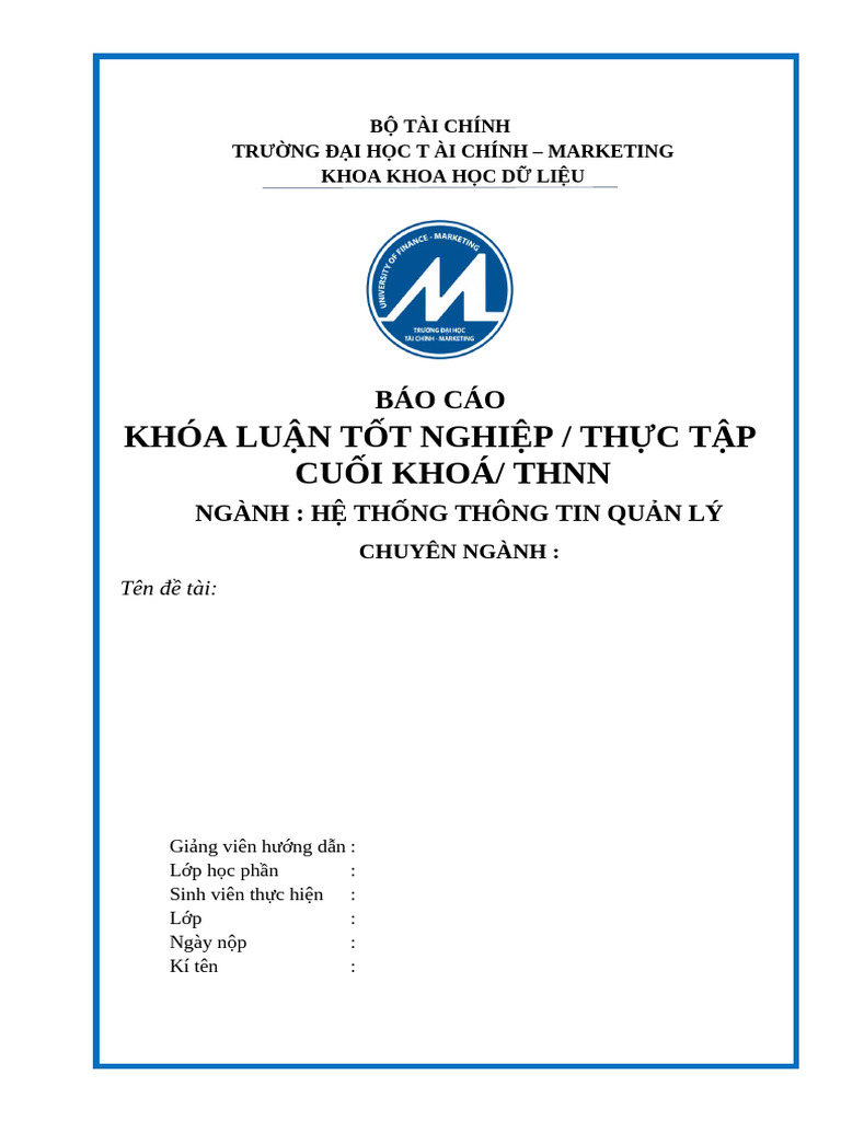 Mau Baocao | PDF