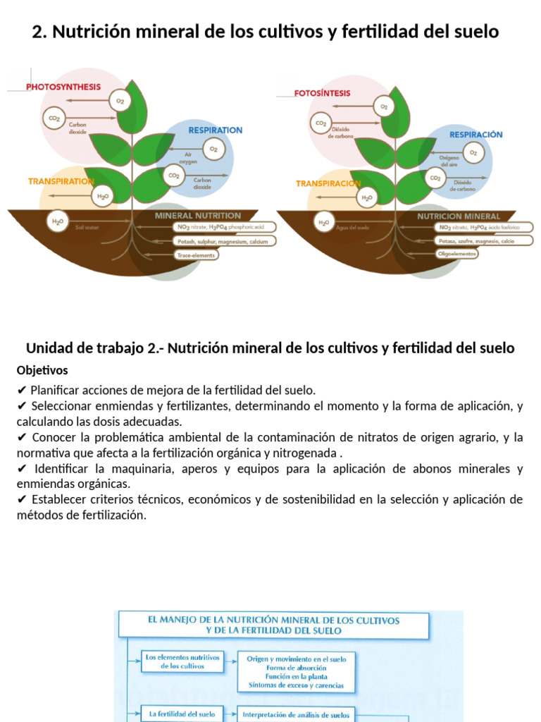 Nutrición Mineral y Fertilidad del Suelo | PDF | Fertilizante ...