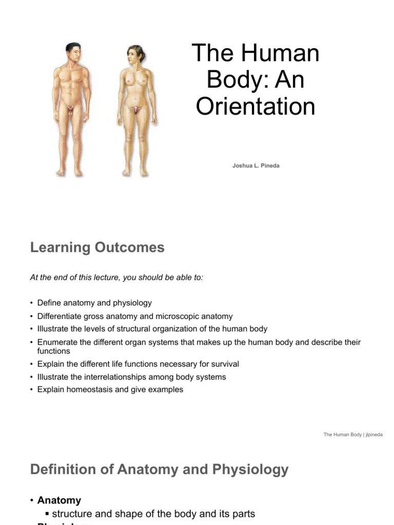 Overview of Human Body Systems | PDF | Human Body | Homeostasis