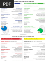Emergenetics Thinking Attributes Handout - Amplitutde