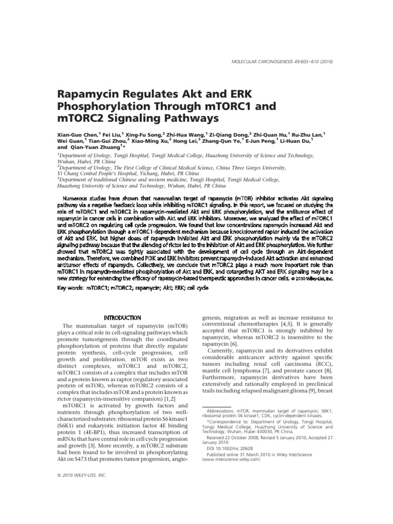 Rapamycin's Impact on Akt and ERK Signaling | PDF | Protein Kinase B ...