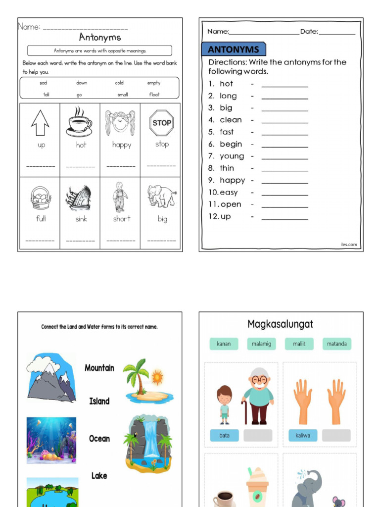 ANTONYMS | PDF