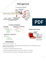 Curs 1 - Aterogeneza Word