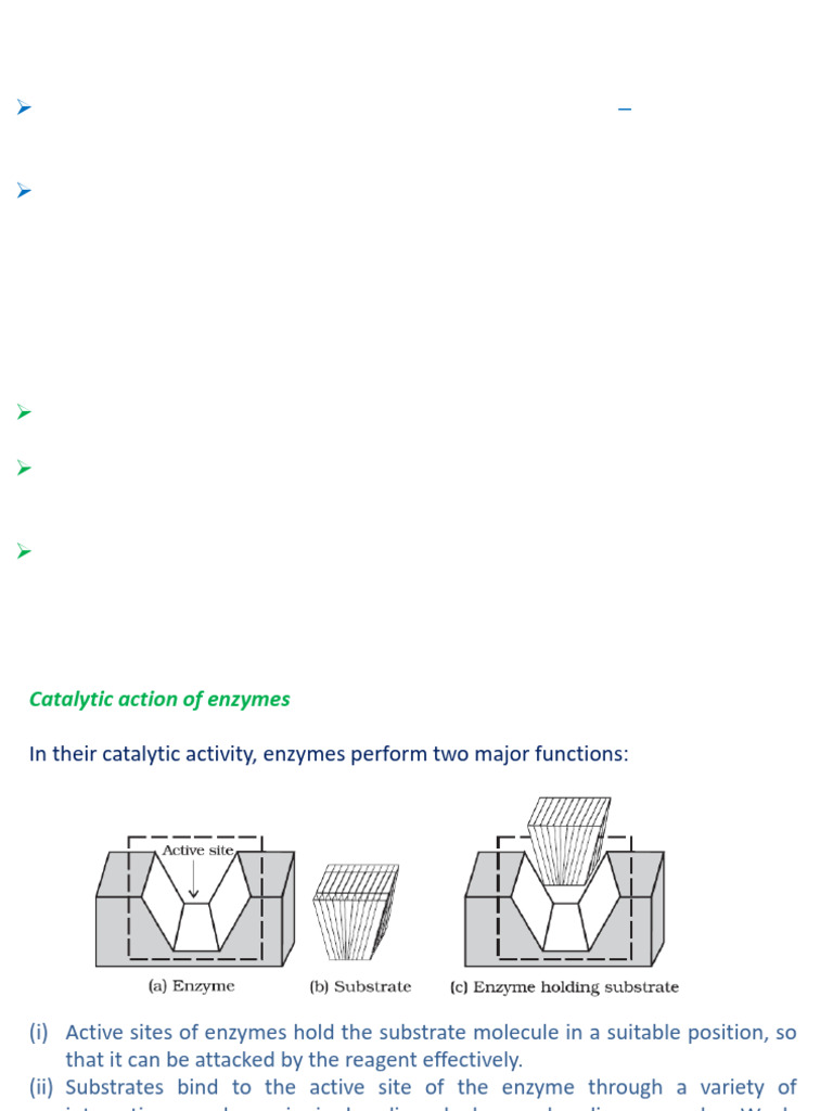 1 Unit 1 Receptor and Drug Action | PDF | Active Site | Enzyme Inhibitor