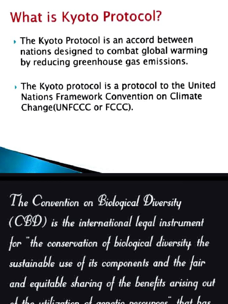 Understanding the Kyoto Protocol | PDF | Kyoto Protocol | Change