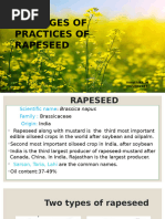 How To Grow Great Rape | PDF | Rapeseed | Vegetables