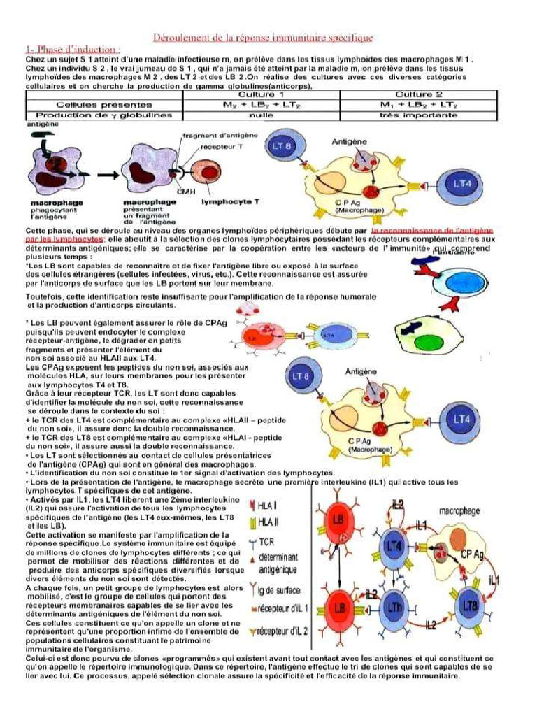 cours-immunit-bac-sciences-pdf