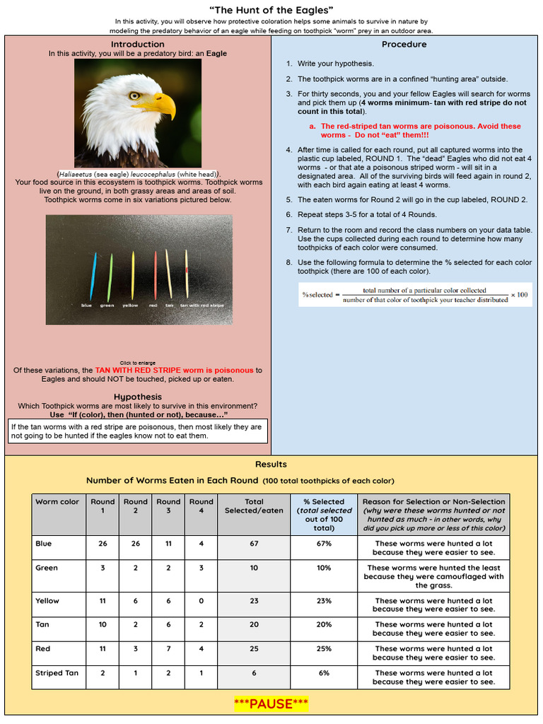 Nora Schaefer - The Hunt of The Eagles 2425 | PDF | Predation | Chart