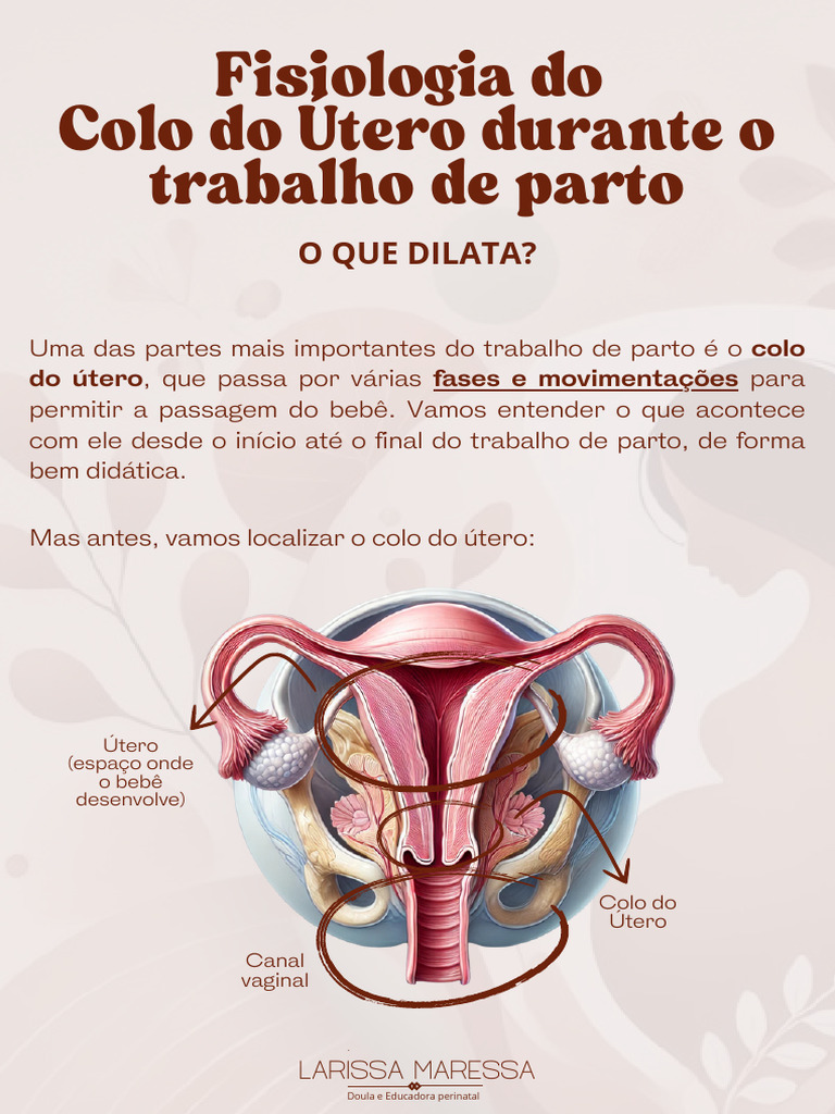 Fisiologia do Colo do Útero no Parto | PDF | Parto | Gravidez