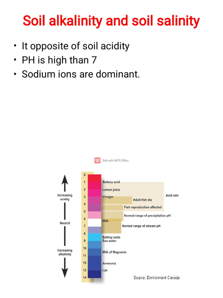 Grade 11 Soil Science Overview | PDF | Flowers | Soil
