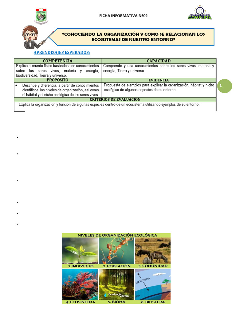 Organización y Nicho en Ecosistemas | PDF | Ecosistema | Organismos