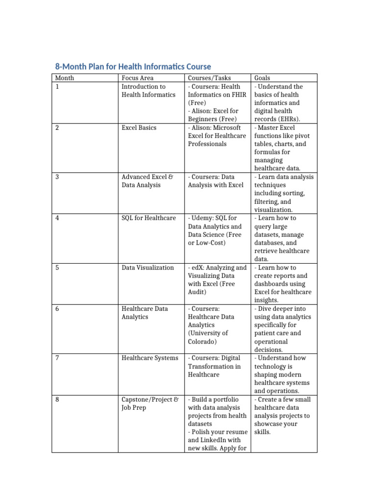 8-month-plan-health-informatics-1-pdf-microsoft-excel-data-analysis
