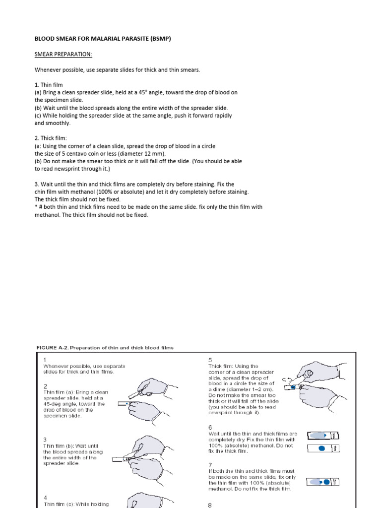 Blood Smear Procedure for Malaria | PDF | Home & Garden
