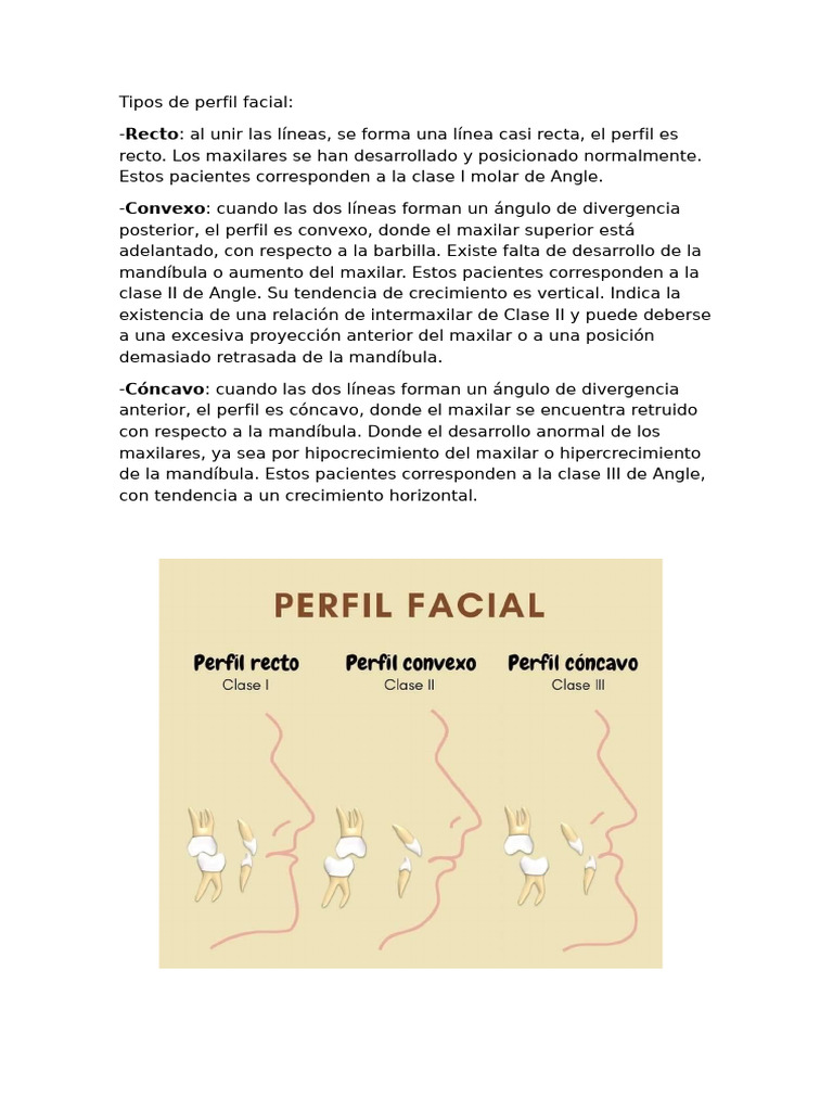 Tipos de Perfiles Faciales: Convexo, Cóncavo y Recto | PDF | Ciencia y ...