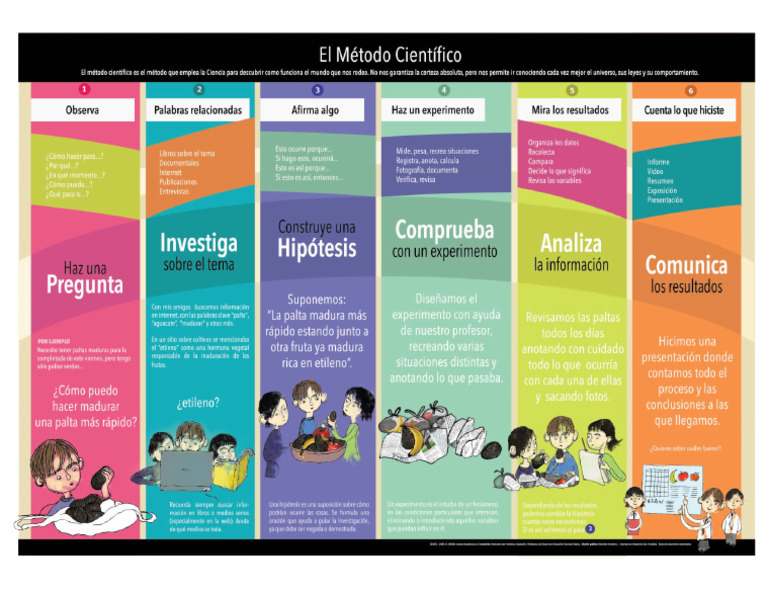 Etapas Del Metodo Cientifico | PDF