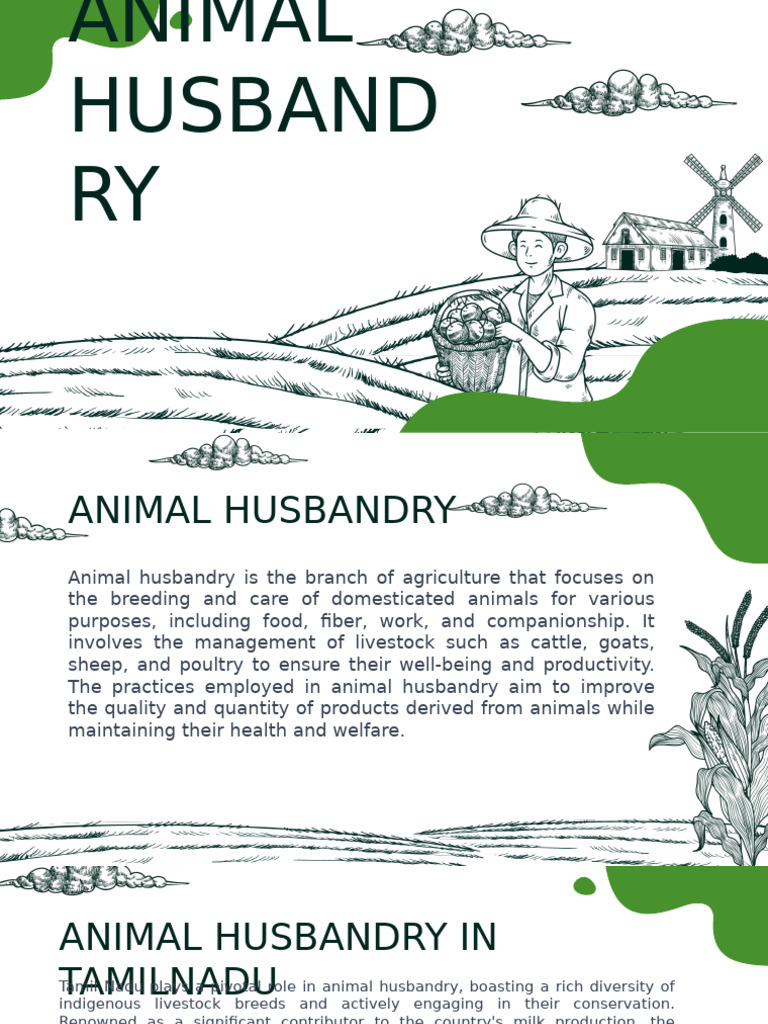 Livestock visual data 8