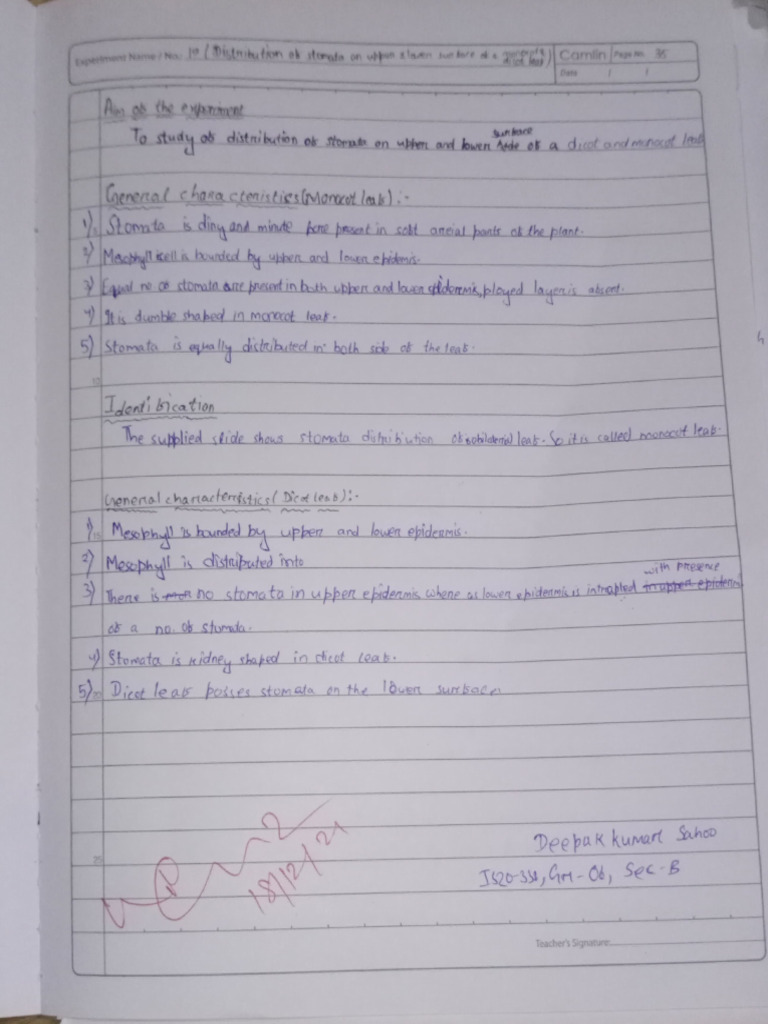 Botany Practical+2 | PDF | Pollination | Plants