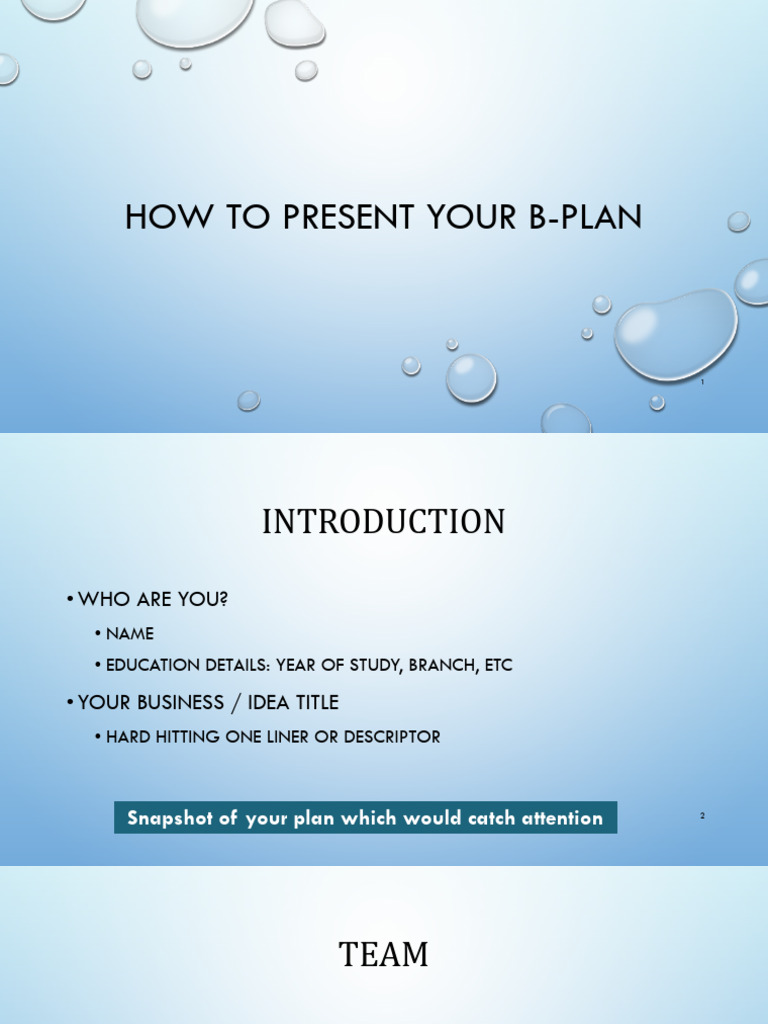 B-Plan Presentation Guide | PDF | Marketing | Business Economics