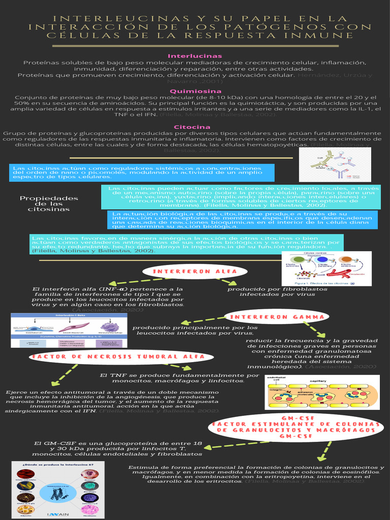 U3 - Infografía - Interleucinas - Equipo3 | PDF | Citocina | Inmunología