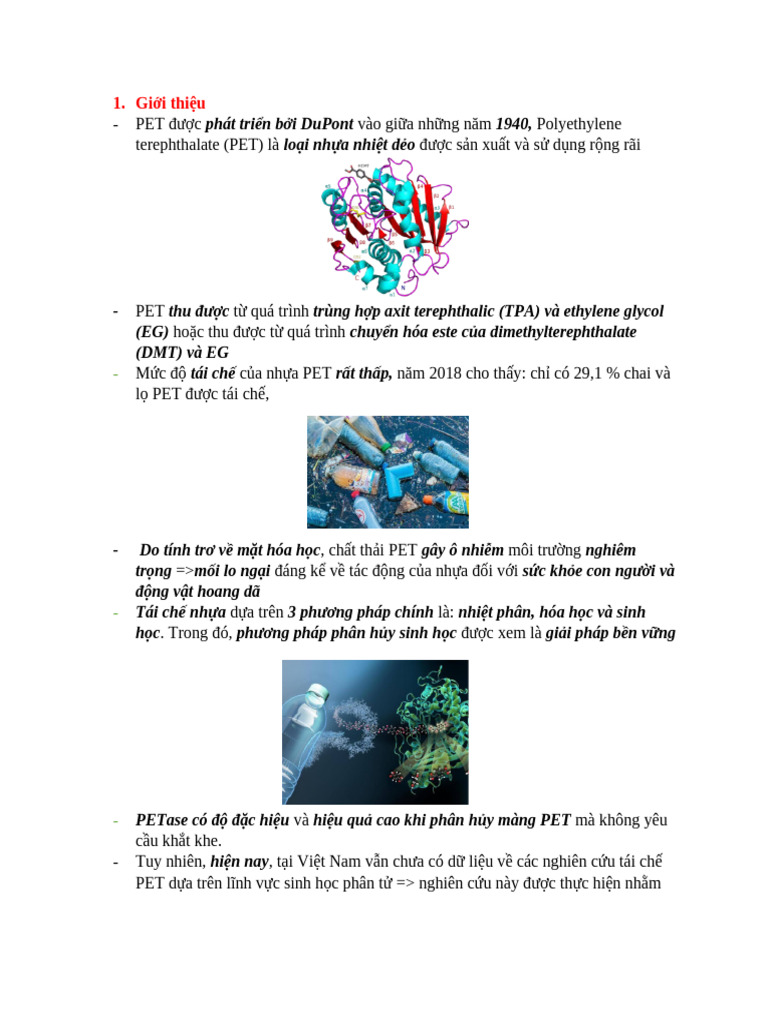 PETase - Powerpoint | PDF