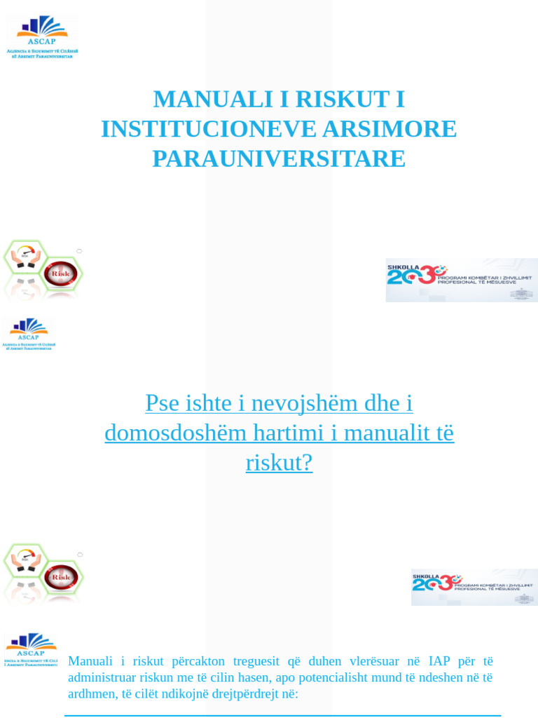 Risku | PDF
