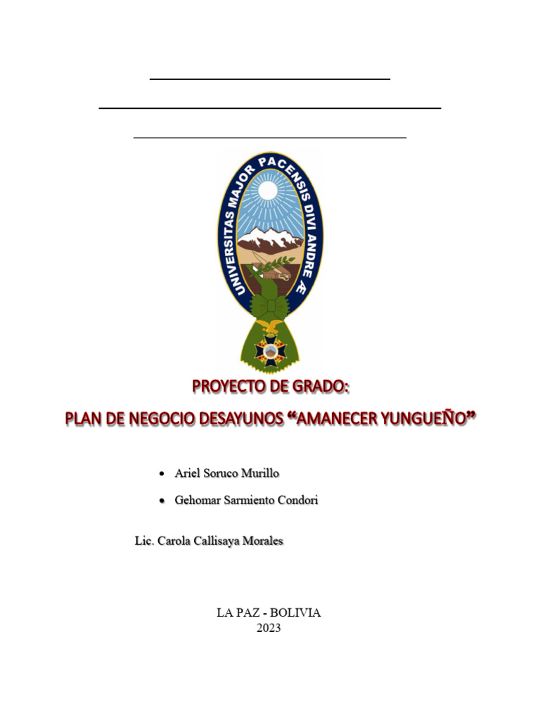 Plan de Negocios y Marketing 2023 | PDF | Business | Presupuesto