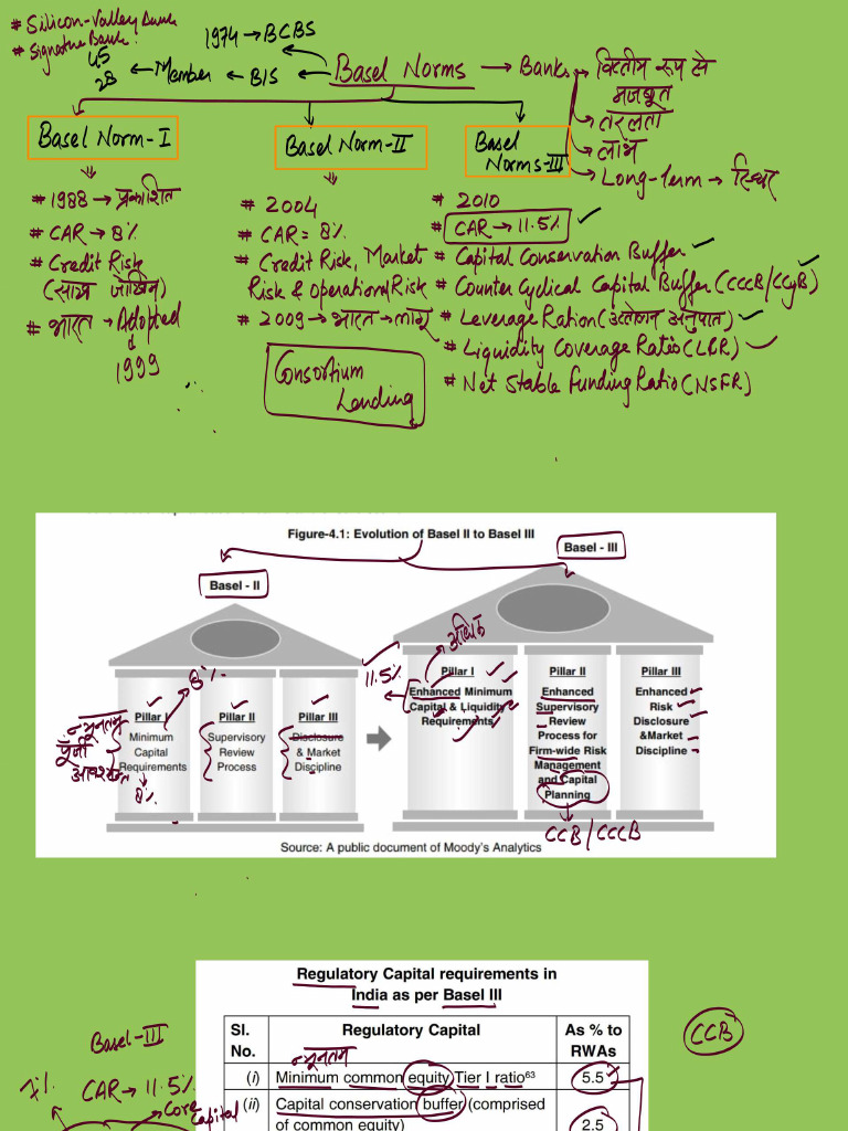 Basil Norms 26 | PDF