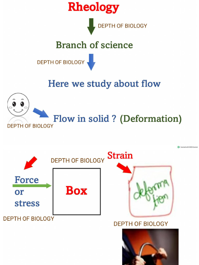 PP Sem 4 Unit 2 | PDF