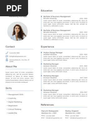 Professional Modern CV Resume