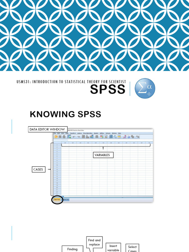 Usms31 Spss I Lecture Notes | PDF | Microsoft Excel | Statistics