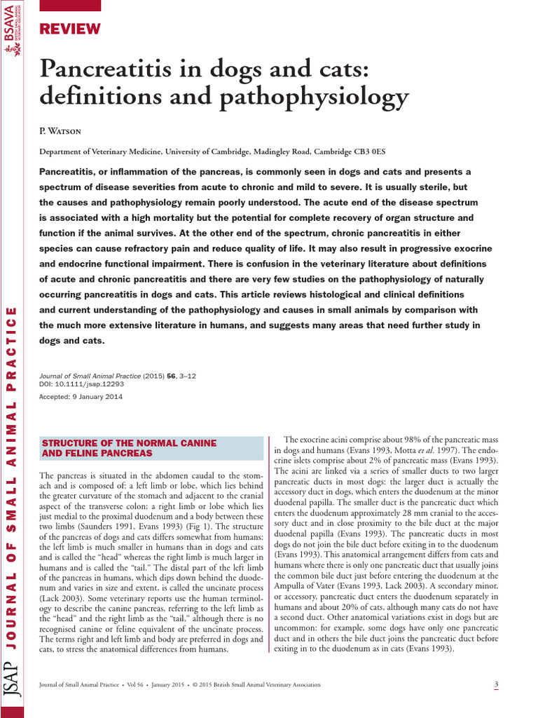 Canine and Feline Pancreatitis Review | PDF | Pancreas | Trypsin