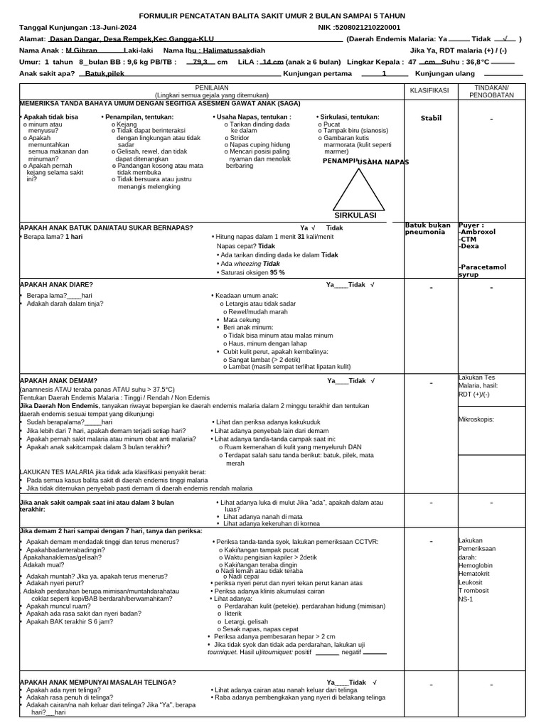 Formulir MTBS untuk Balita Sakit | PDF