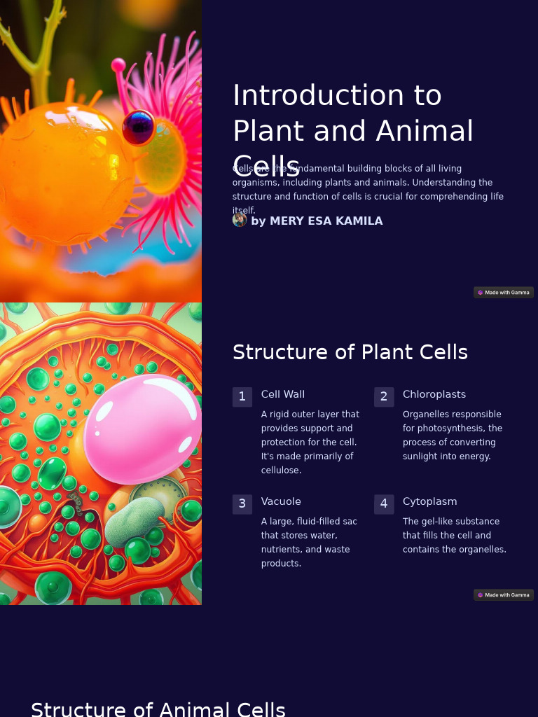Introduction To Plant And Animal Cells Pdf Cell Biology