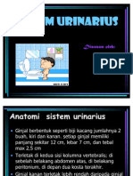SISTEM urinarius
