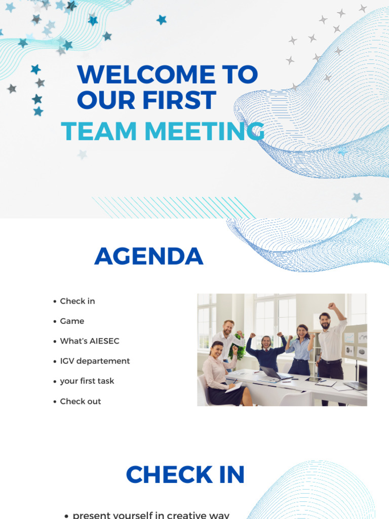 1st Team Meeting | PDF