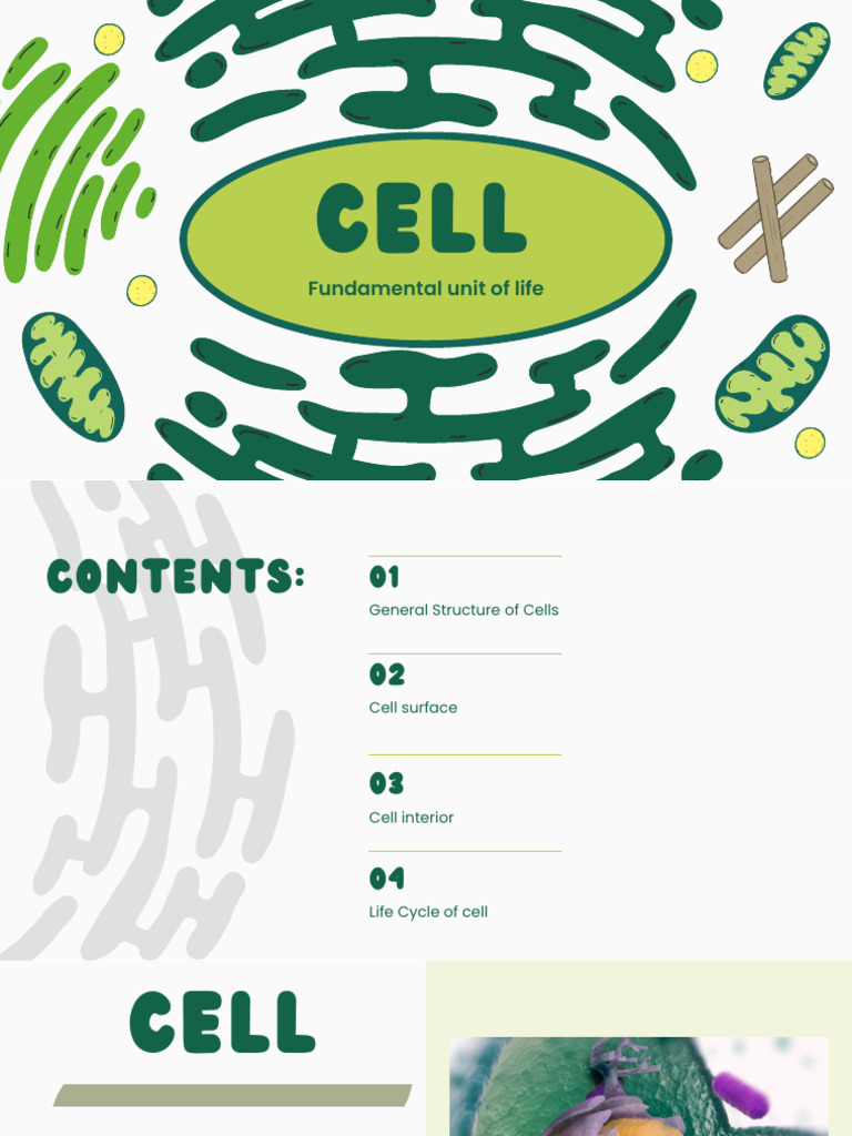 Chapter 3 Cells With Reference | PDF | Mitosis | Cell Membrane
