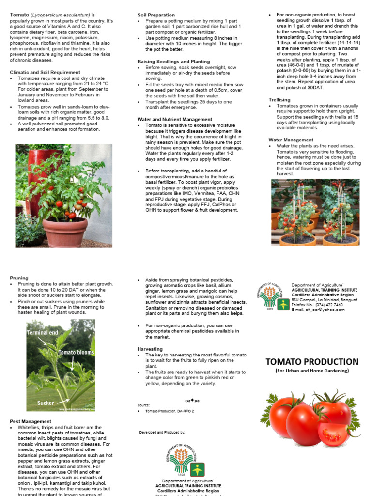Tomato Production Guide Leaflet | PDF | Tomato | Soil