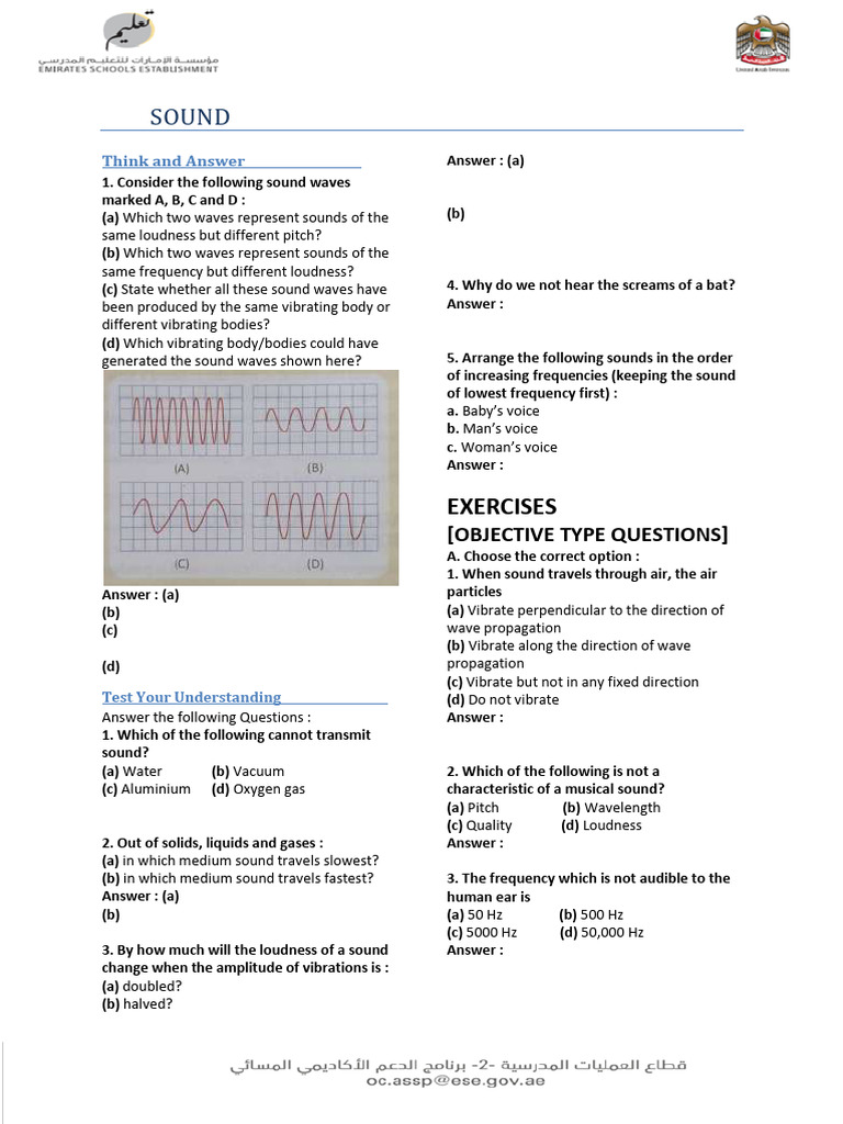 ASSP G 10 ADV Sound Worksheet T1 | PDF | Sound | Waves