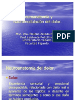 Neuroanatmia y Neurom - Dolor - Modulo Aps